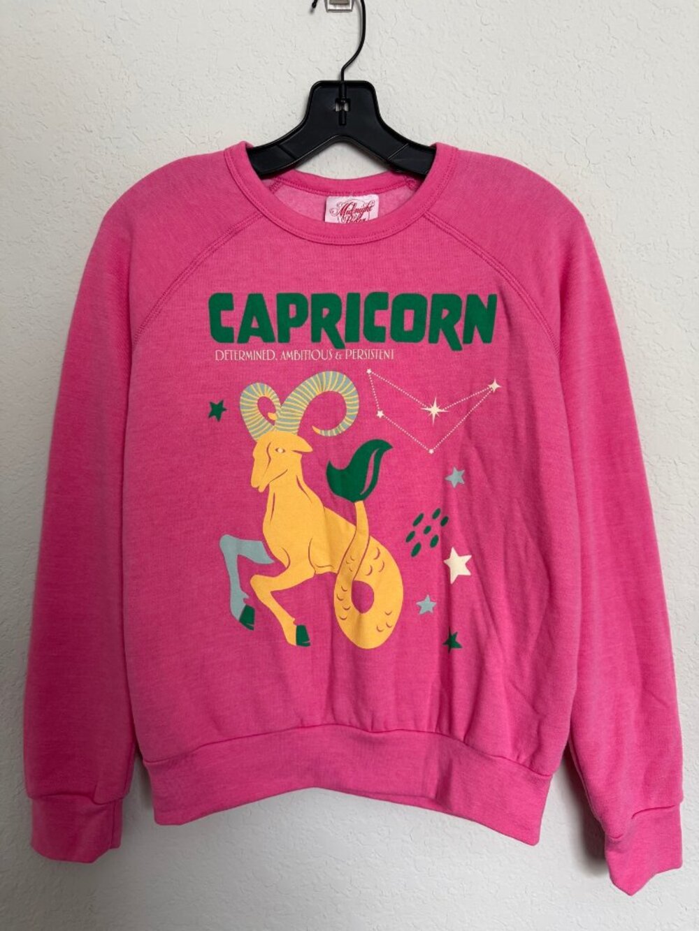 NWT Midnight Rider x Anthropologie Capricorn Zodiac Sweatshirt Pink XS Horoscope